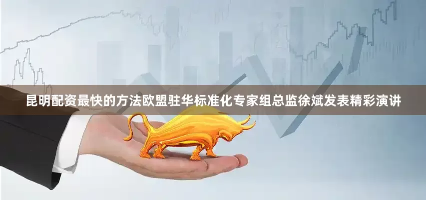 昆明配资最快的方法欧盟驻华标准化专家组总监徐斌发表精彩演讲