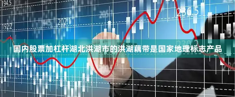 国内股票加杠杆湖北洪湖市的洪湖藕带是国家地理标志产品