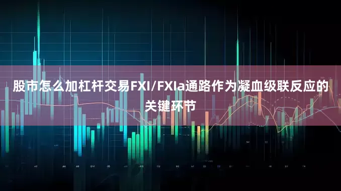 股市怎么加杠杆交易FXI/FXIa通路作为凝血级联反应的关键环节