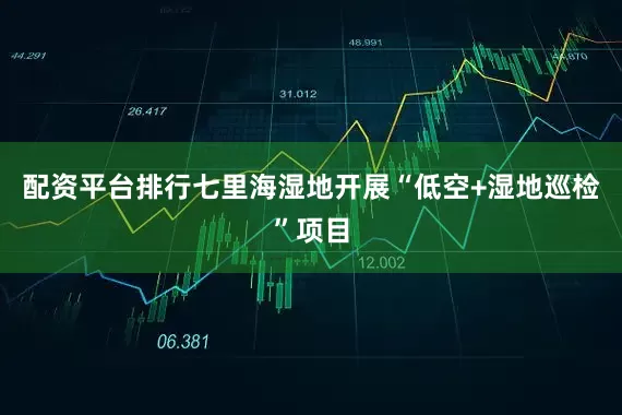 配资平台排行七里海湿地开展“低空+湿地巡检”项目